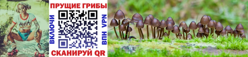 Галлюциногенные грибы ЛСД  продажа наркотиков  Афипский 